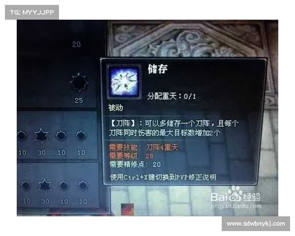 斗战神龙女刺客角色加点与装备搭配全面解析技巧分享